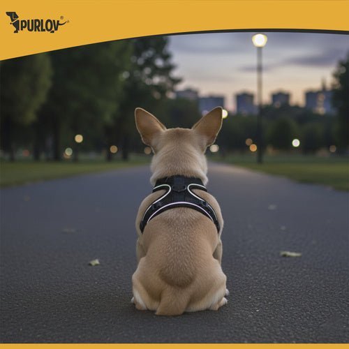 1 Stück druckfreies Geschirr für Hunde und Katzen, Komfort und Sicherheit - Easy2sell - Deluxe