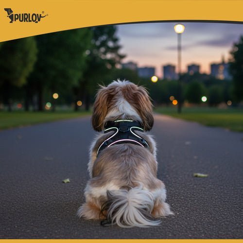 1 Stück druckfreies Geschirr für Hunde und Katzen, Komfort und Sicherheit - Easy2sell - Deluxe