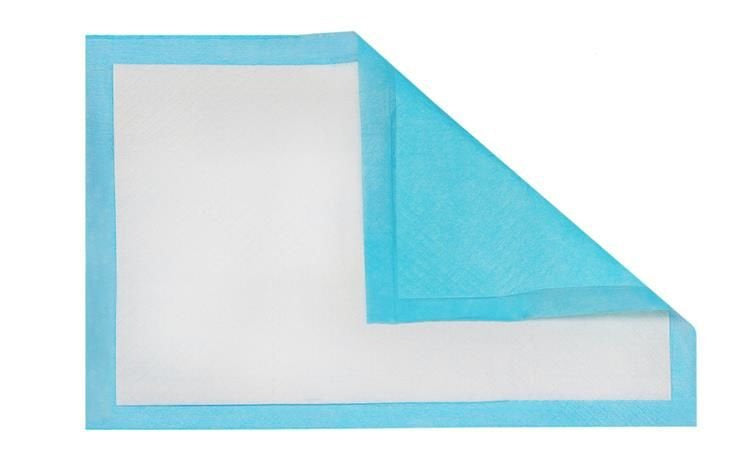 Saugfähige Hygieneeinlage - Set à 50 Stück.