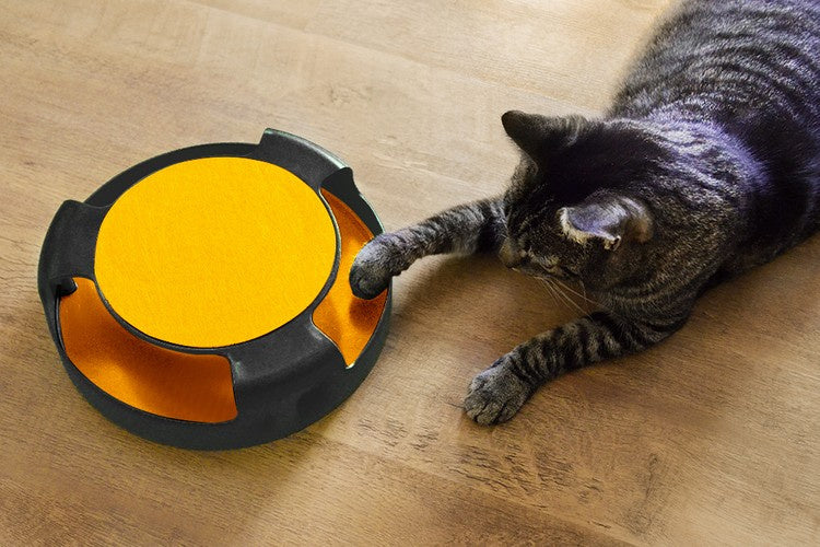 Katzenspielzeug - ein Rad mit einer Maus