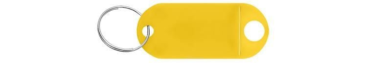 Schlüsselanhänger/Schlüssel-ID-Set 100-tlg