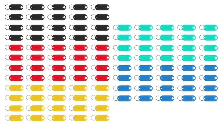 Schlüsselanhänger/Schlüssel-ID-Set 100-tlg