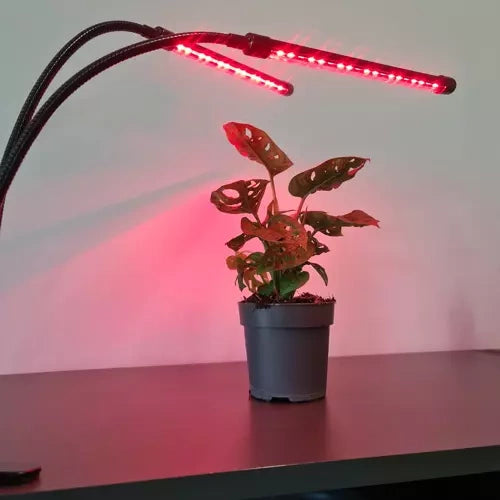 Lampe 20 LED 2Stk. für Pflanzenwachstum Gardlov 19241