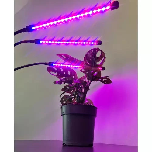 Lampe 20 LED 3 Stk. für Pflanzenwachstum Gardlov 19242