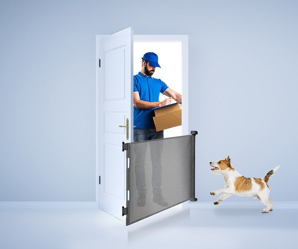 Ruhhy 19381 Türsicherheitstor