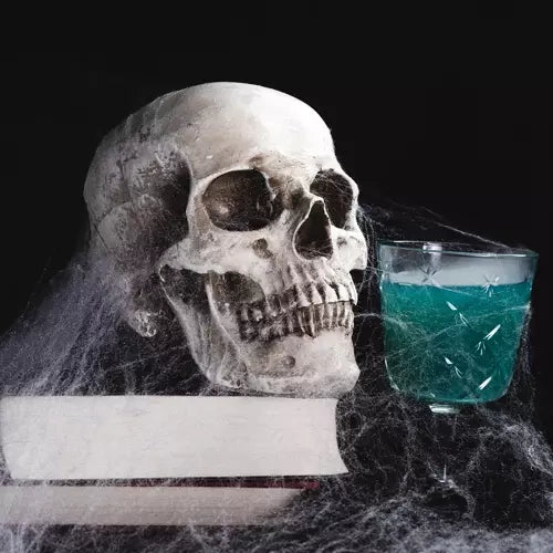 Künstliches Spinnennetz + 2 Spinnen Malatec 19759