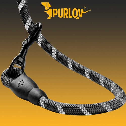 Hundeleine reflektierend 3 m schwarz Polypropylen mit Kotbeutelspender Karabiner