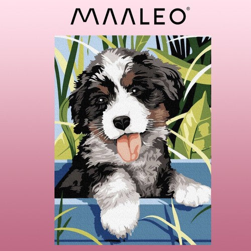Malen nach Zahlen 40x30cm - Maaleo Hund 22780