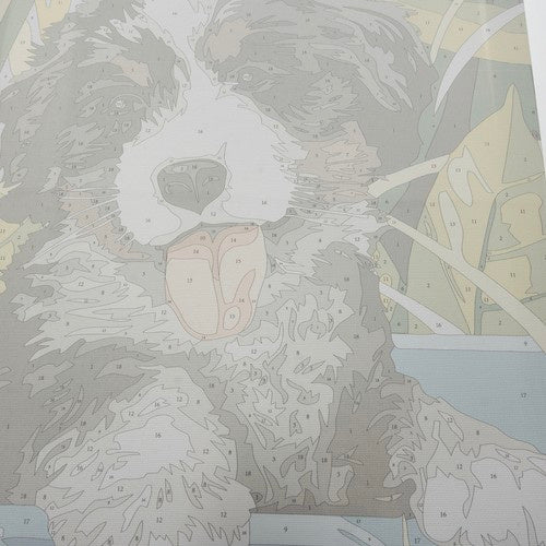 Malen nach Zahlen 40x30cm - Maaleo Hund 22780