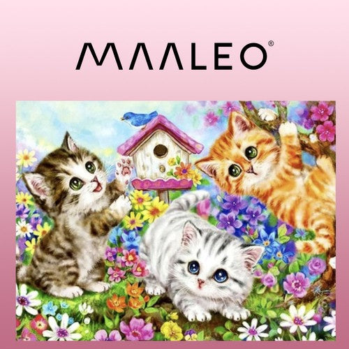 Malen nach Zahlen 40x50cm - Maaleo-Katzen 22781