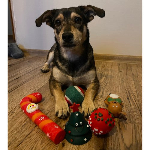 Weihnachtsgeschenk für einen Hund - Purlov 22637 Spielzeug