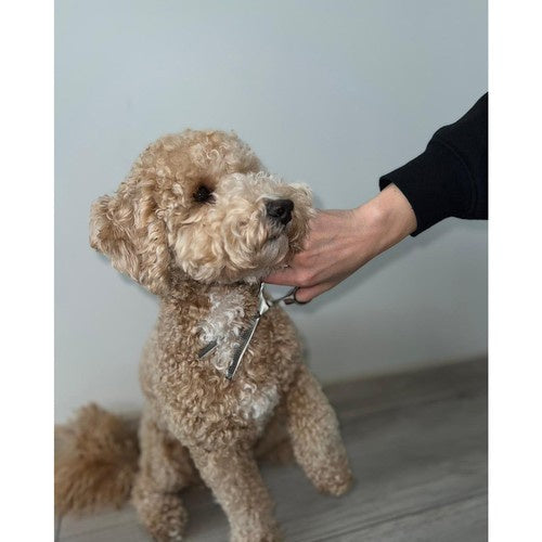 Purlov 23186 Hundehaarschneideschere
