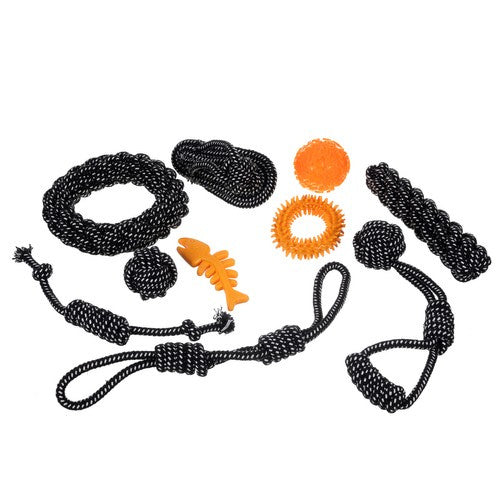 Set Hundespielzeug - 10 Stück Purlov 24388