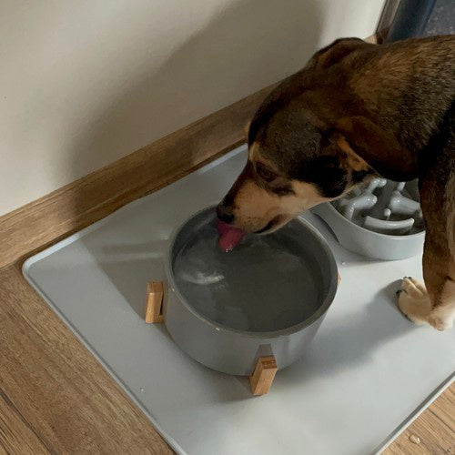 Purlov 24295 Silikon-Napfunterlage