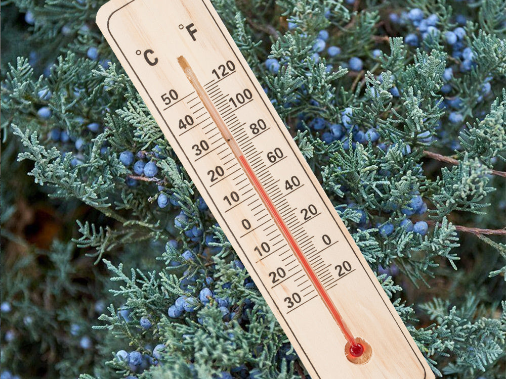Verk 07185 Außenthermometer 22 cm Holz