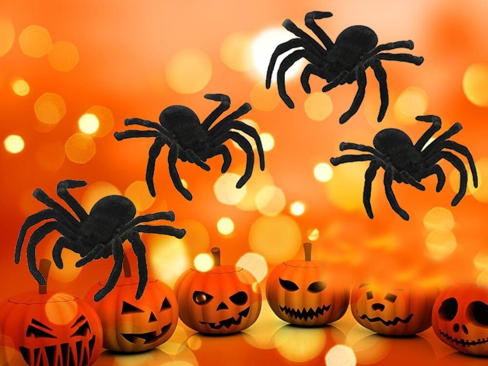 4x Spinnen Halloween Dekoration Spinne Horror gruselige Deko Set Spinne - Easy2sell - Deluxe