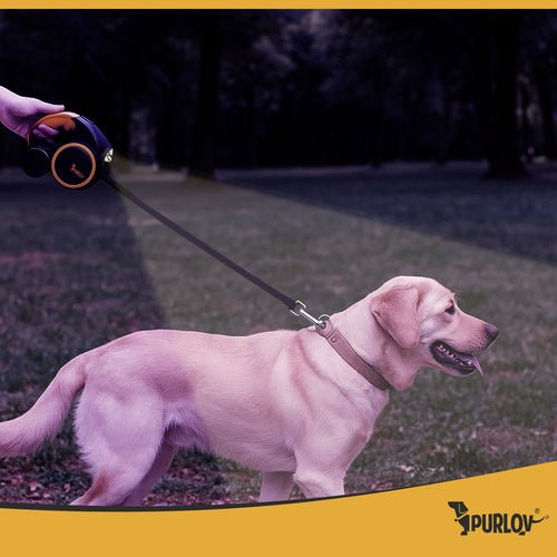 Automatisches Schlüsselband mit Taschenlampe 5m Purlov 25965 - Easy2sell - Deluxe