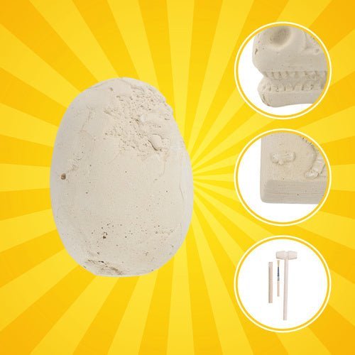 Dinosaurier Ausgrabungsset für Kinder – 5 - in - 1 Fossilien - Set mit Werkzeug - Easy2sell - Deluxe