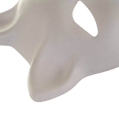 DIY Katzenmaske 10 Stück Ruhhy 26000 - Easy2sell - Deluxe