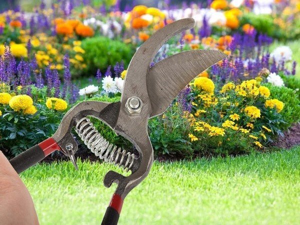 Ergonomische Gartenschere aus Stahl - Easy2sell - Deluxe