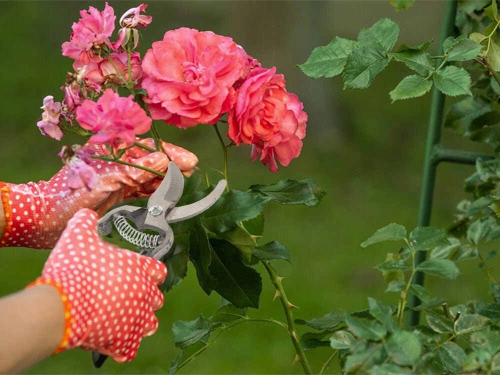 Ergonomische Gartenschere aus Stahl - Easy2sell - Deluxe