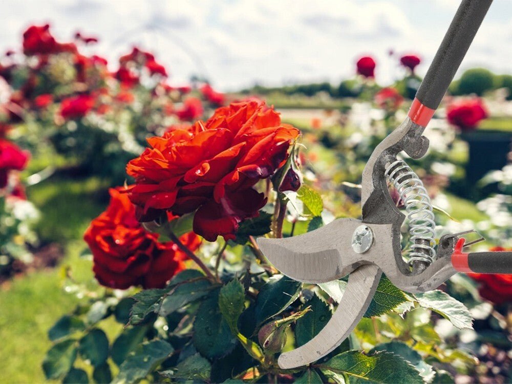 Ergonomische Gartenschere aus Stahl - Easy2sell - Deluxe