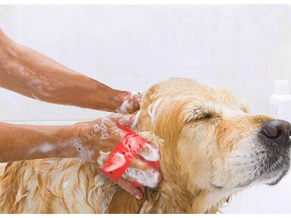 Hundebürste Fellbürste Striegel für Kurzhaar & Rauhaar Hunde Bürste Verfilzung - Easy2sell - Deluxe