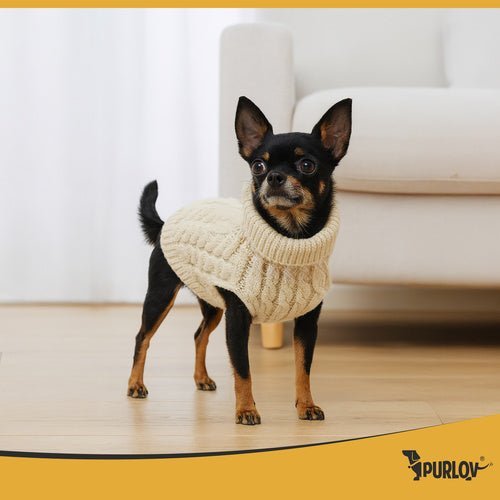 Hundepullover Strick für kleine Hunde & Katzen, Größe S, Beige, Warm - Easy2sell - Deluxe
