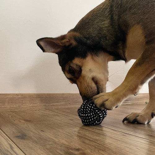 Hundespielzeug Set 10 Stück – Interaktives Kauspielzeug aus Seil und Gummi - Easy2sell - Deluxe