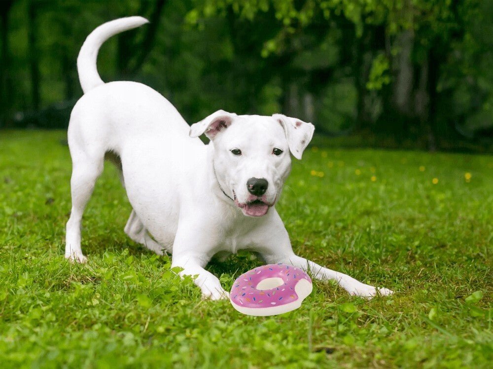 Hundespielzeug Welpenspielzeug Gummi Donut rosa Qietscher Hunde Spielzeug 14cm - Easy2sell - Deluxe