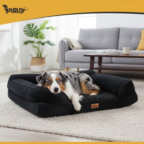 Orthopädisches Bett für Tiere M Purlov 26915 - Easy2sell - Deluxe