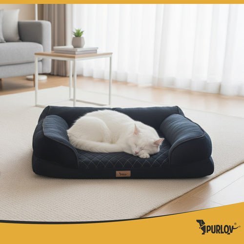 Orthopädisches Hundebett S – 65x55x18 cm Schaumstoff Matratze Schwarz - Easy2sell - Deluxe