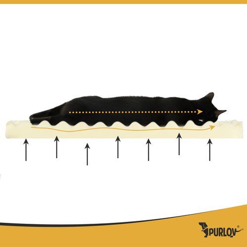 Orthopädisches Hundebett S – 65x55x18 cm Schaumstoff Matratze Schwarz - Easy2sell - Deluxe