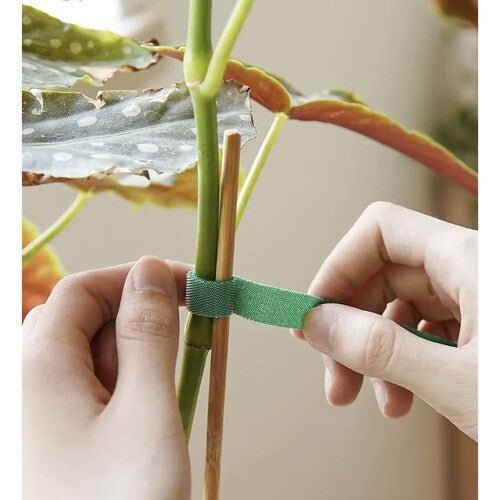 Pflanzenbinder Pflanzenhalter Klettverschluss Pflanzenband Klettband Baumhalter - Easy2sell - Deluxe
