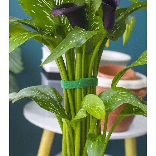 Pflanzenbinder Pflanzenhalter Klettverschluss Pflanzenband Klettband Baumhalter - Easy2sell - Deluxe