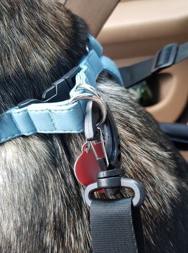 Purlov 20973 sitzender Hundetransporter - Easy2sell - Deluxe