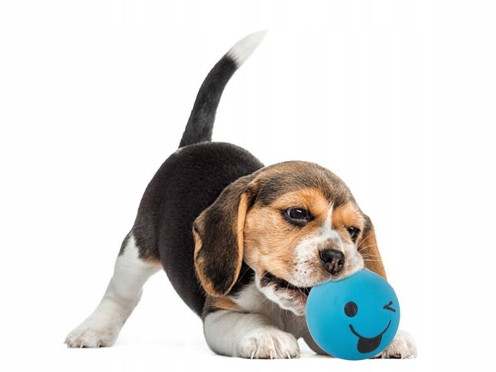 Smiley Quietschball für Haustiere - Easy2sell - Deluxe
