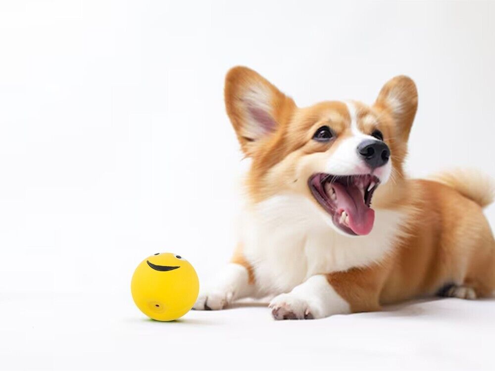 Smiley Quietschball für Haustiere - Easy2sell - Deluxe