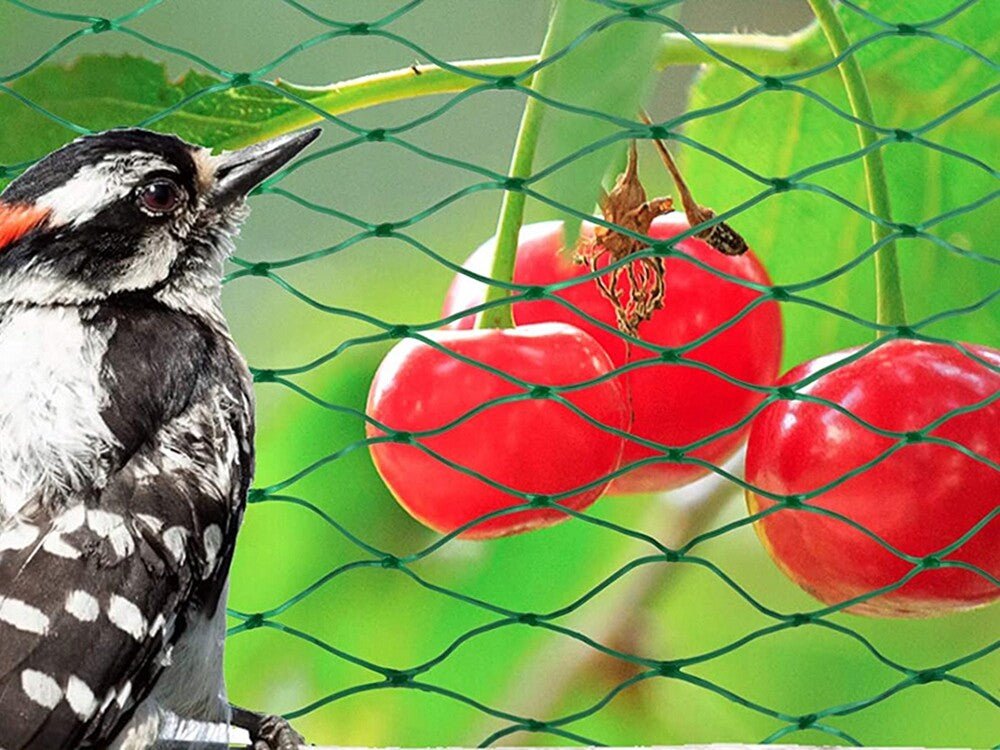 Vogelschutznetz für Garten und Obst - Easy2sell - Deluxe