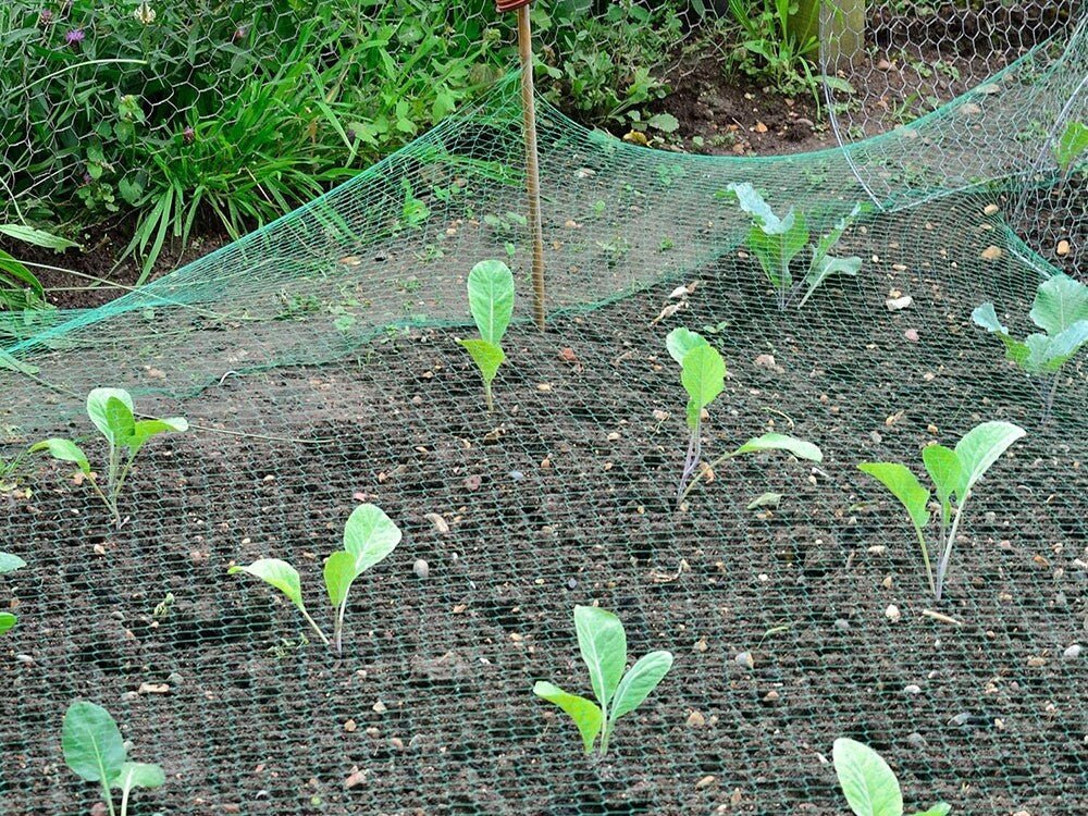 Vogelschutznetz für Garten und Obst - Easy2sell - Deluxe