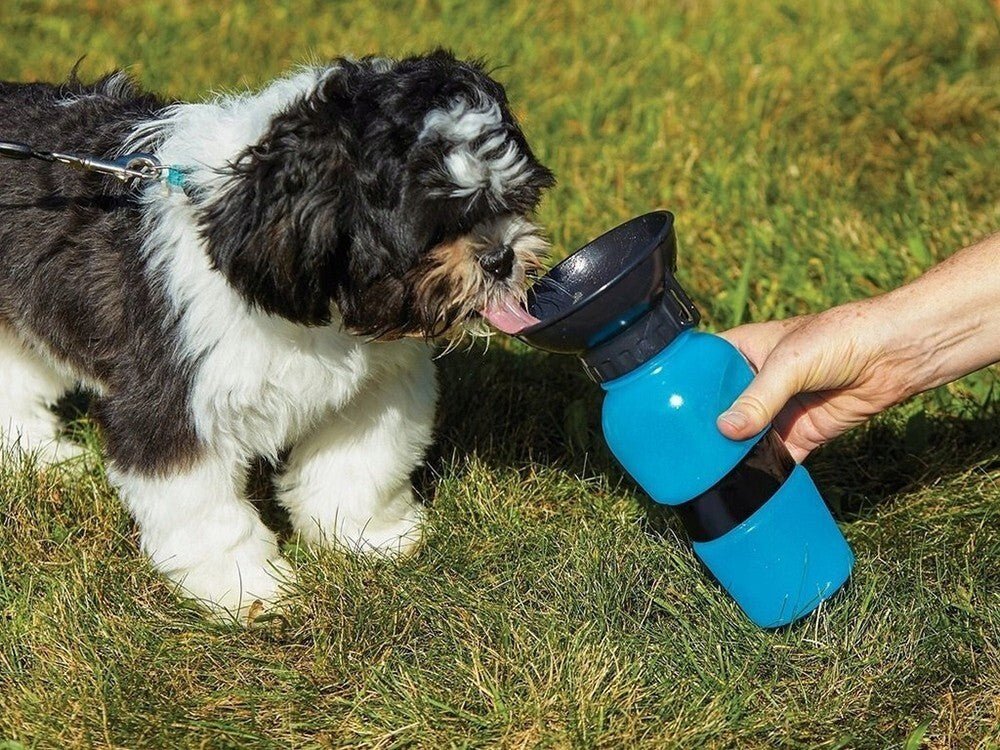 Wassernapf Trinkflasche für Hunde Wasserflasche Trink Hundenapf Wasser Reisen - Easy2sell - Deluxe