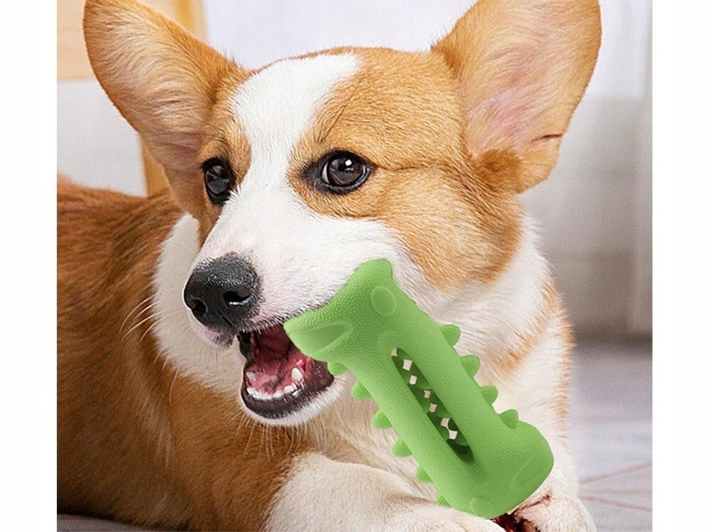 Zahnpflege Kauspielzeug für Hunde - Easy2sell - Deluxe