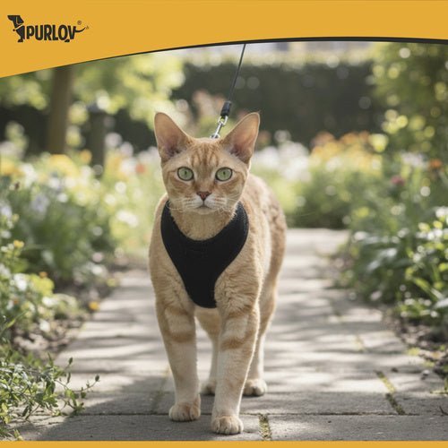 1 Stück druckfreies Geschirr für Hunde und Katzen, Komfort und Sicherheit - Easy2sell - Deluxe