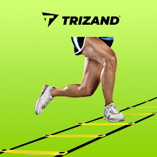 Trizand 5067 Koordinationsleiter 6 m