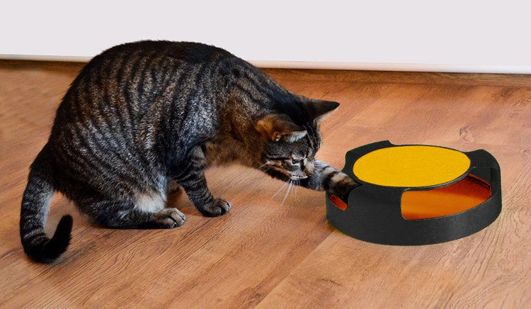 Katzenspielzeug - ein Rad mit einer Maus