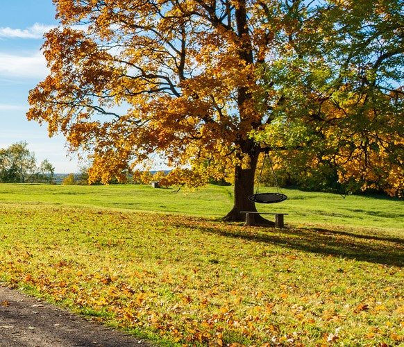 Storchennestschaukel, 100 cm, schwarz