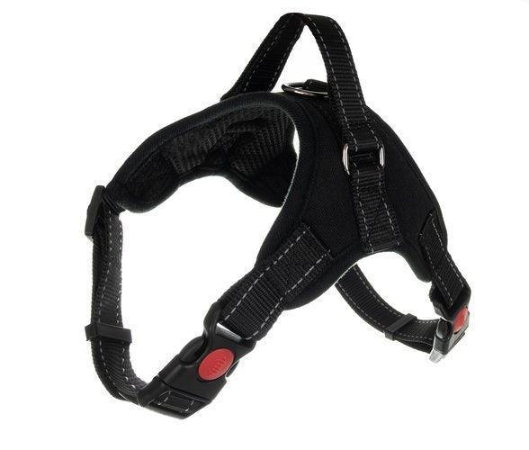 Druckfreies Hundegeschirr M