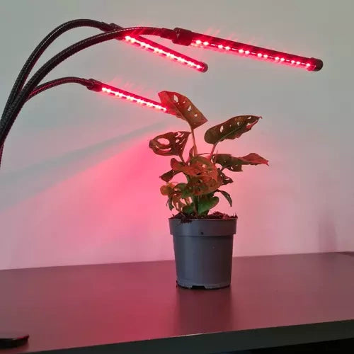 Lampe 20 LED 3 Stk. für Pflanzenwachstum Gardlov 19242