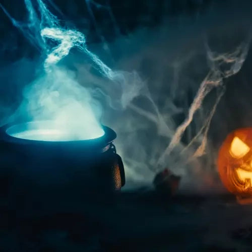 Künstliches Spinnennetz + 2 Spinnen Malatec 19759