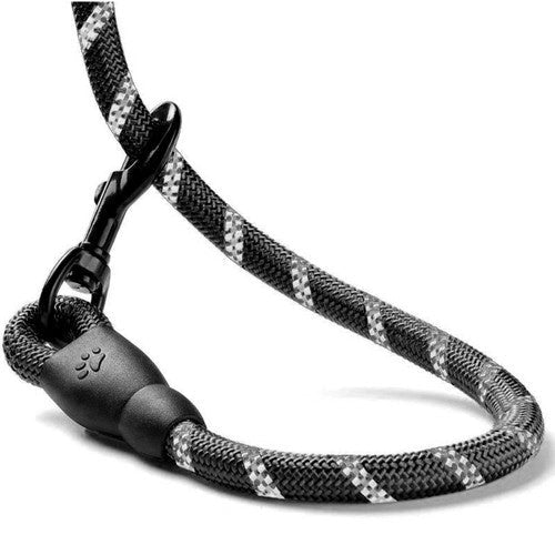 Hundeleine reflektierend 3 m schwarz Polypropylen mit Kotbeutelspender Karabiner